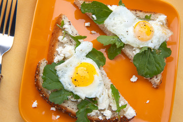 Open-Faced Sandwich with Fried Egg