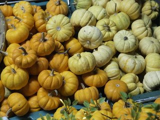 Calabazas en mercado de Bangkok (Tailandia)
