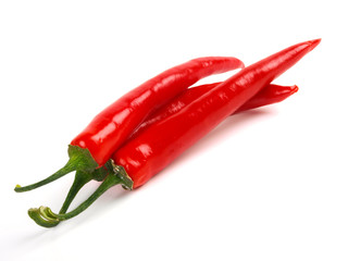 Red chili pepper. Close up. White background