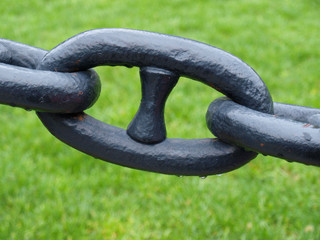 Single chain link