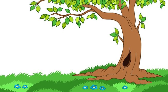 Recolectar 76+ imagem tree background clipart - Thcshoanghoatham-badinh