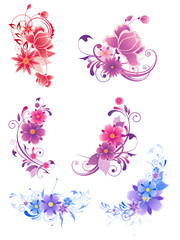 Plakat floral decorative elements