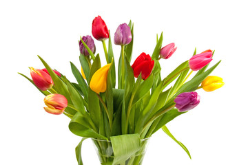 Bouquet of Dutch tulips over white background
