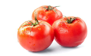 fresh tomatoes on the white background