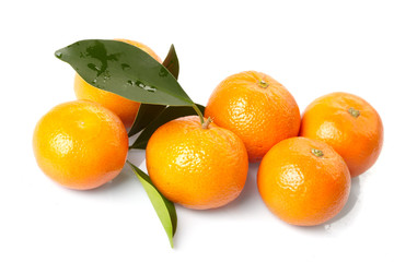 fresh tangerines on the white background