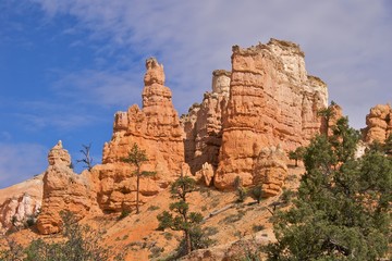 Hoodoos, Mossy Cave Trail, Bryce Canyon National Park