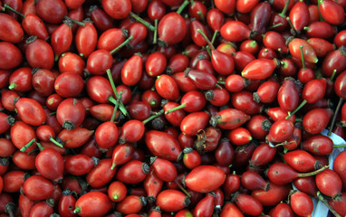 Rosehip
