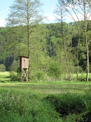 Hochsitz