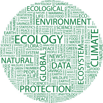 ECOLOGY. Word collage on white background.