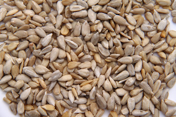Graines de tournesol