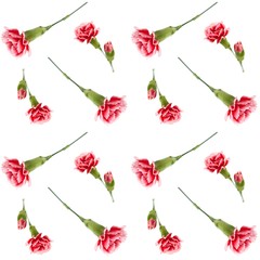 background with carnations