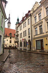 Fototapeta na wymiar View on Old city of Tallinn. Estonia