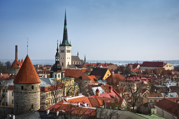 Obraz premium View on Old city of Tallinn. Estonia