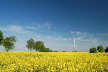Fototapeta Turbina wiatrowa obraz