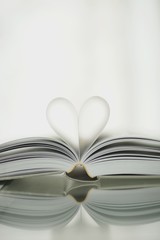 Buch
