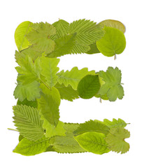 Green leaf letter