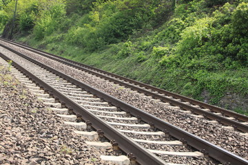 Fototapeta premium Vía del tren y vegetación