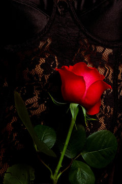 Black Corset And Red Rose