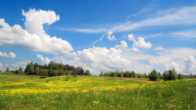 Springs field landscape © Aleksandr Volkov