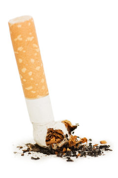 Cigarette butt isolated on white background