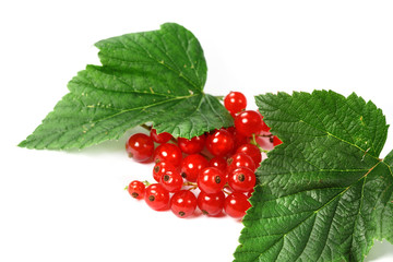 Sweet berries red currant
