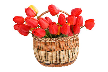 Fototapeta na wymiar Basket filled with red tulips