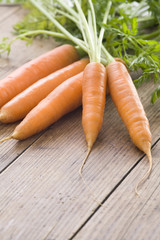 Carrot