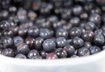Sweet berries bilberries ( whortleberries )
