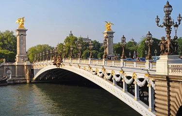 Photo sur Plexiglas Pont Alexandre III Pont Alexandre 3 - Paris