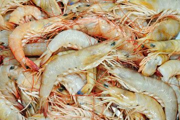 Assortment Of Fresh Prawns