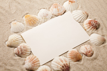 Messages between sands and shells