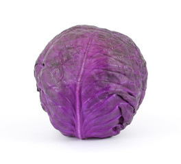 Single head of red cabbage