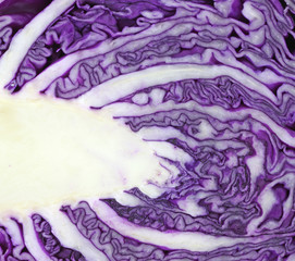 Obraz premium Close view of cut red cabbage