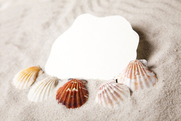 Summer paper letter with shell