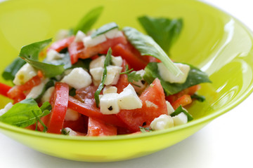 Tomato salad with basil and mozzarella