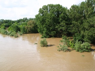 Flood