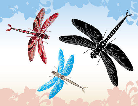 Set of dragonfly stencil, vector illustration in three variants