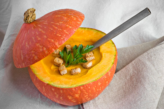 4 059 Best Potiron Images Stock Photos Vectors Adobe Stock