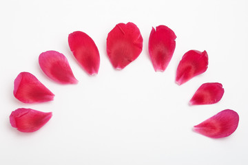 Semicircle of red flower petals on white background