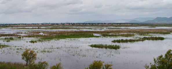 Panorámica de las Tablas de Daimiel