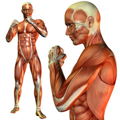 Muskel Mann in Kämpfer Pose
