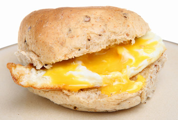 Fried Egg Roll
