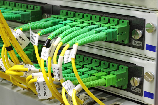 SC connectors in patch panel