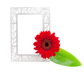 frame for photo with leaf and flower