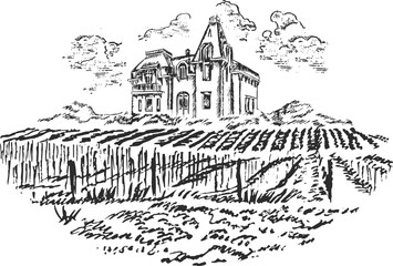 Fototapeta premium Vintage - vineyard and castle