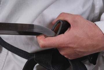 sabre karate budo pointe katana