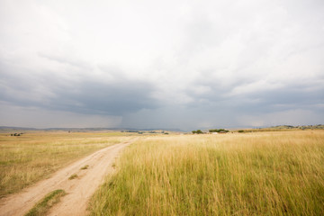 Fototapeta na wymiar Stormy skies over farm land