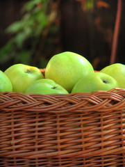 Apples in the basket nb.2