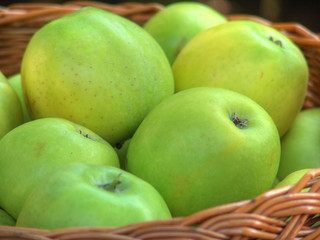 Apples in the basket nb.7