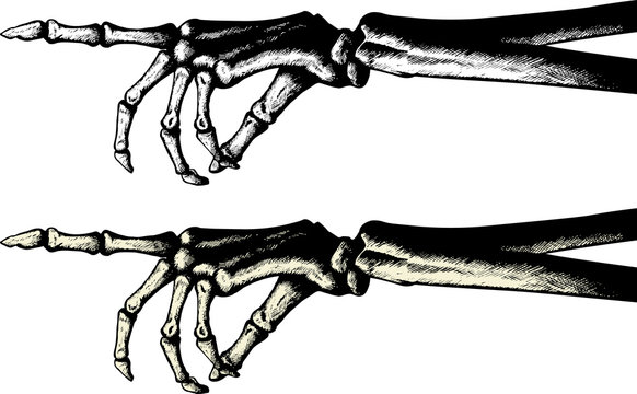 Ink drawing of a pointing skeleton hand